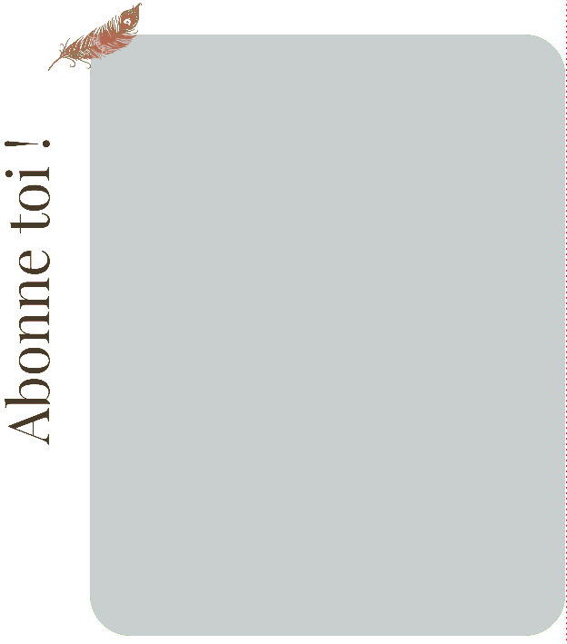 Cadre photo gris avec une plume décorative et un texte vertical Abonne toi !